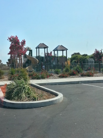 Hall Park - Suisun City, CA.jpg
