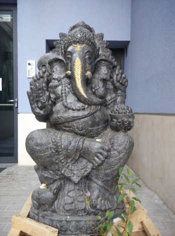 Indian Elephant - Sofia, Sofia-city.jpg