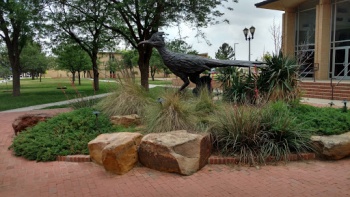 Chap LCU Mascot - Lubbock, TX.jpg