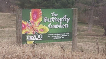 Zoo Butterfly Garden - Louisville, KY.jpg