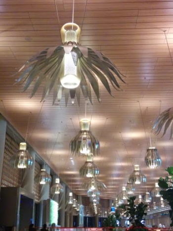 Mumbai Airport Blooming Lotuses - Mumbai, MH.jpg