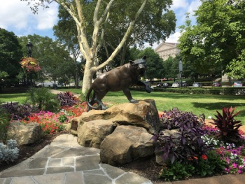 The Pitt Panther - Pittsburgh, PA.jpg