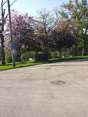 Slade Ave Park - Elgin, IL.jpg