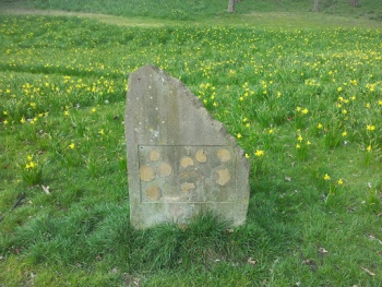 There Used to Be Something Here - Salford, England.jpg