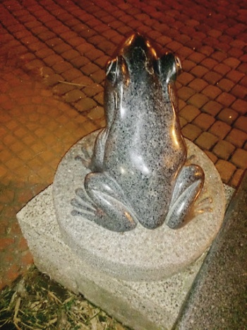 It's a Frog - Taipei, Taipei City.jpg