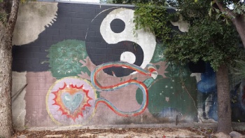 Tomatoland Yin Yang - Tallahassee, FL.jpg