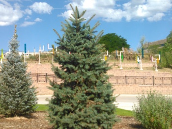 Federal Center Art - Lakewood, CO.jpg