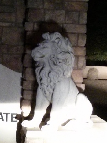 The Castle Lions - Chandler, AZ.jpg