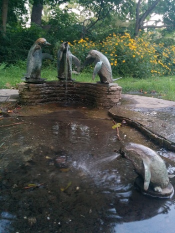 Lustige Pinguine - Wien, Wien.jpg