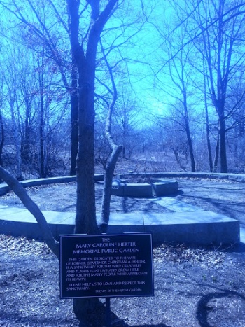 Mary C Herter Memorial Garden - Boston, MA.jpg
