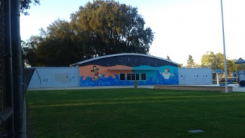 Oak Park Pool Mural - Stockton, CA.jpg