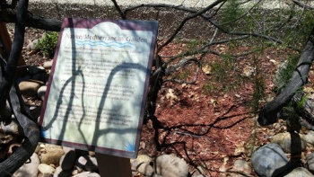 Native Mediterranean Garden South - San Diego, CA.jpg