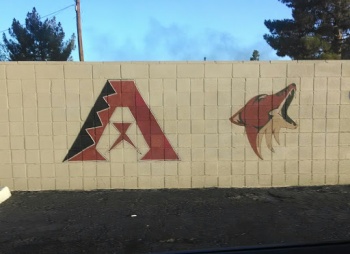 Az Sports - Glendale, AZ.jpg