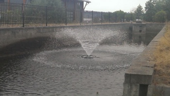 May Creek Fountain - Renton, WA.jpg