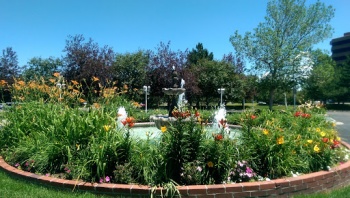 The Franciscan Fountain - Centennial, CO.jpg