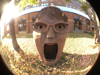 Palin - Chicago, IL.jpg