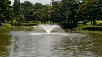 Macritchie Reservoir Fountain - Singapore, Singapore.jpg